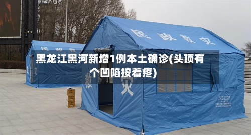 黑龙江黑河新增1例本土确诊(头顶有个凹陷按着疼)