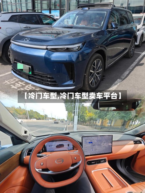【冷门车型,冷门车型卖车平台】