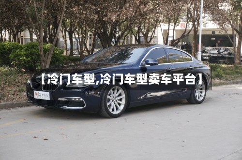 【冷门车型,冷门车型卖车平台】-第2张图片
