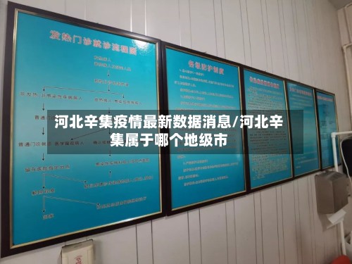 河北辛集疫情最新数据消息/河北辛集属于哪个地级市