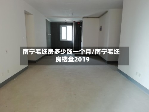 南宁毛坯房多少钱一个月/南宁毛坯房楼盘2019