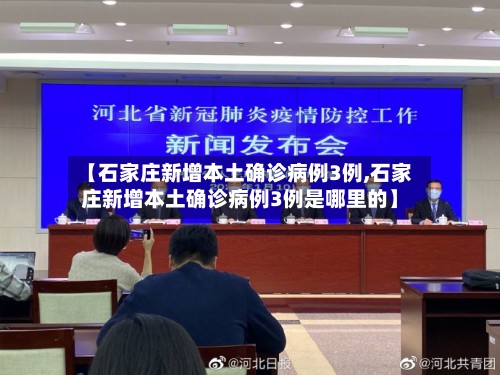 【石家庄新增本土确诊病例3例,石家庄新增本土确诊病例3例是哪里的】-第2张图片