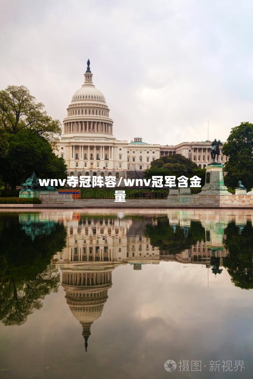 wnv夺冠阵容/wnv冠军含金量