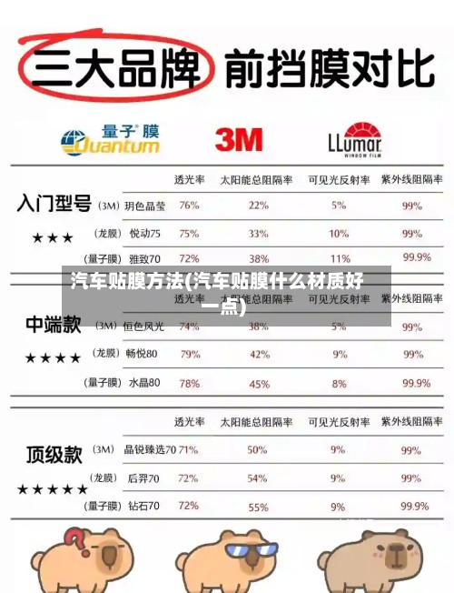 汽车贴膜方法(汽车贴膜什么材质好一点)