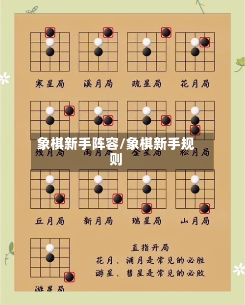 象棋新手阵容/象棋新手规则
