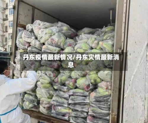 丹东疫情最新情况/丹东灾情最新消息