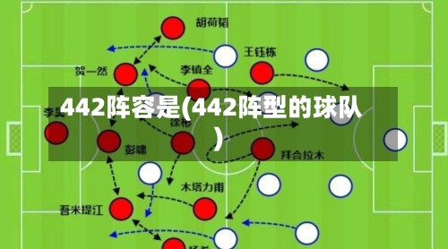 442阵容是(442阵型的球队)