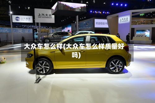 大众车怎么样(大众车怎么样质量好吗)-第2张图片