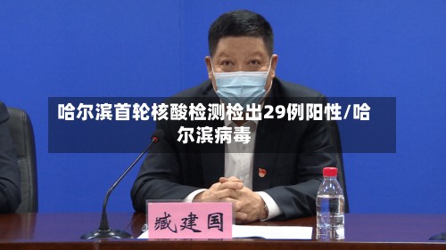 哈尔滨首轮核酸检测检出29例阳性/哈尔滨病毒-第2张图片
