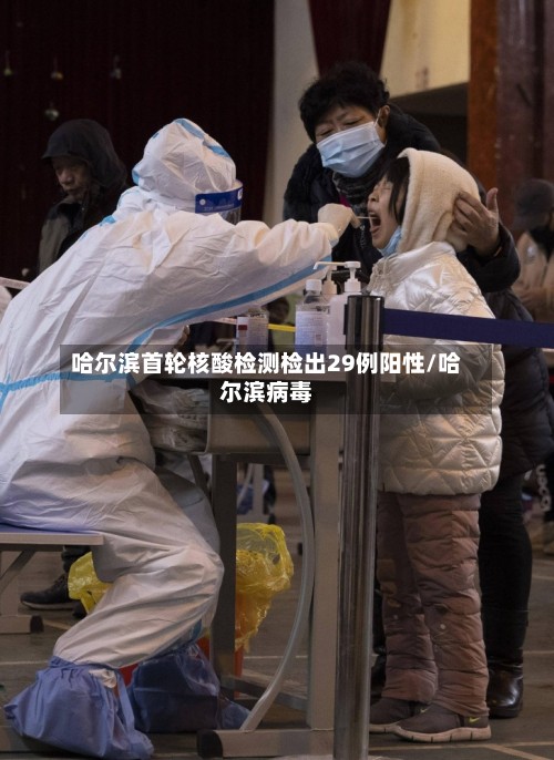 哈尔滨首轮核酸检测检出29例阳性/哈尔滨病毒-第3张图片