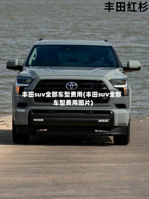 丰田suv全部车型费用(丰田suv全部车型费用图片)-第3张图片