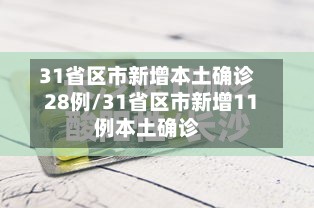 31省区市新增本土确诊28例/31省区市新增11例本土确诊-第3张图片