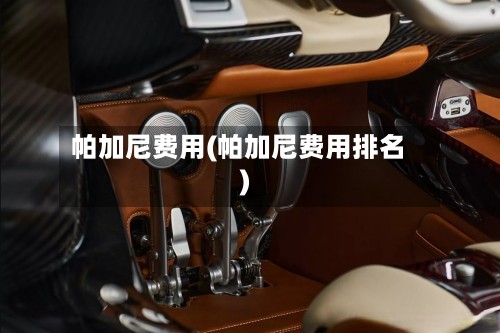 帕加尼费用(帕加尼费用排名)