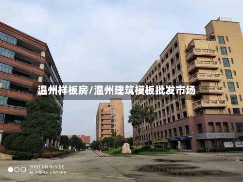 温州样板房/温州建筑模板批发市场-第2张图片