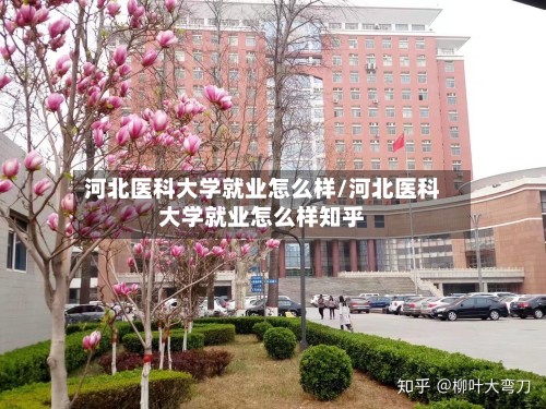河北医科大学就业怎么样/河北医科大学就业怎么样知乎-第3张图片