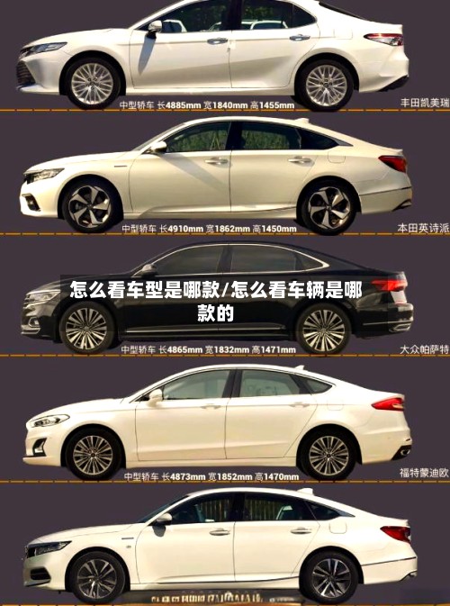 怎么看车型是哪款/怎么看车辆是哪款的-第3张图片