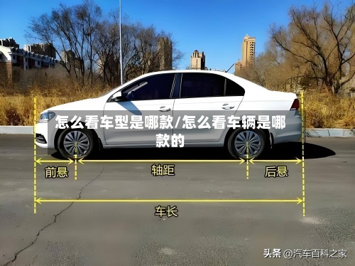 怎么看车型是哪款/怎么看车辆是哪款的-第2张图片