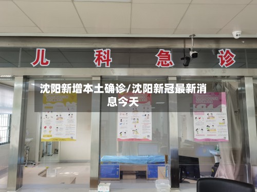 沈阳新增本土确诊/沈阳新冠最新消息今天