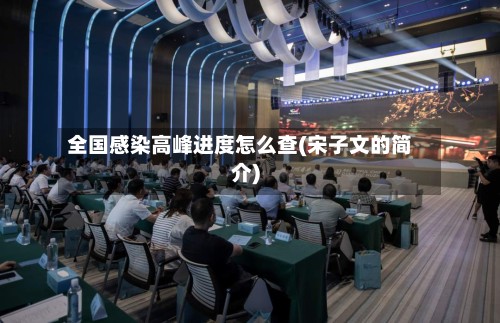 全国感染高峰进度怎么查(宋子文的简介)