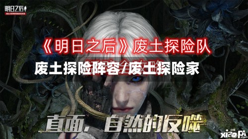 废土探险阵容/废土探险家