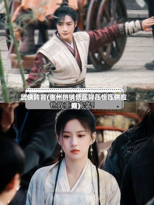 武侠阵容(惠州热销低压降压恒压供应商)-第2张图片