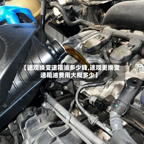 【途观换变速箱油多少钱,途观更换变速箱油费用大概多少】-第2张图片