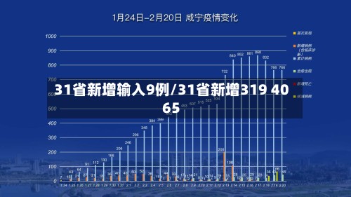 31省新增输入9例/31省新增319 4065