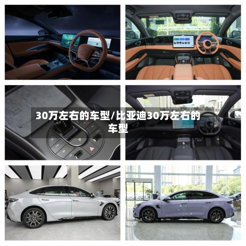 30万左右的车型/比亚迪30万左右的车型-第2张图片