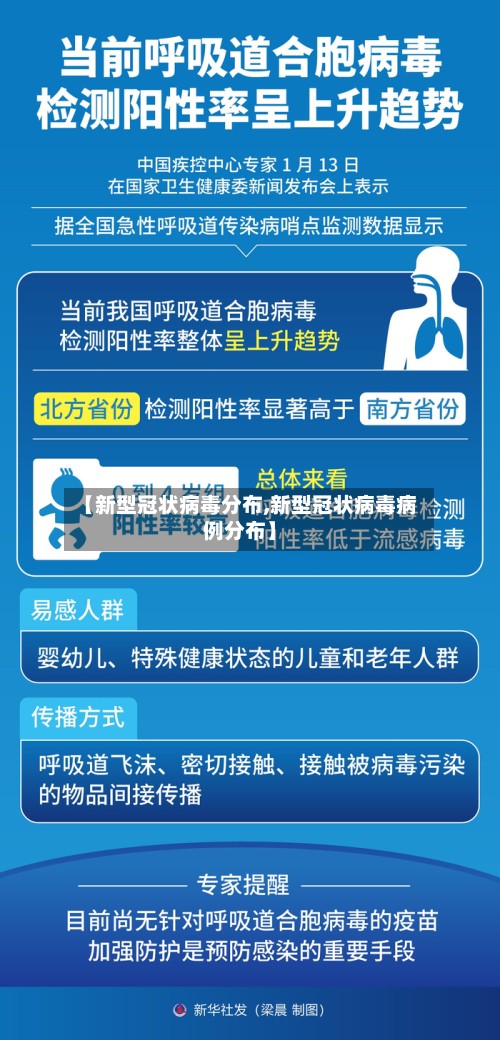 【新型冠状病毒分布,新型冠状病毒病例分布】-第2张图片