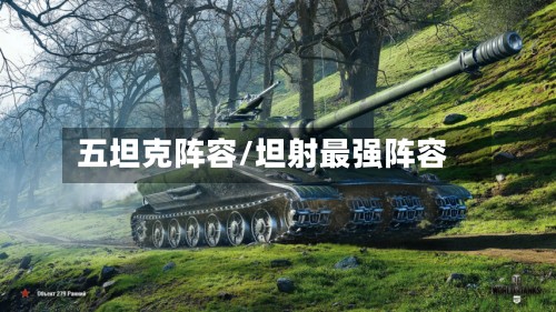 五坦克阵容/坦射最强阵容-第3张图片