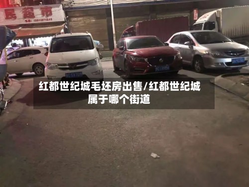 红都世纪城毛坯房出售/红都世纪城属于哪个街道-第2张图片