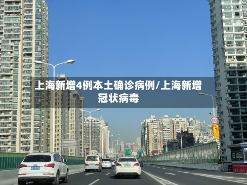 上海新增4例本土确诊病例/上海新增冠状病毒-第2张图片