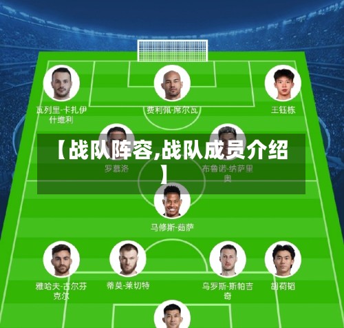 【战队阵容,战队成员介绍】
