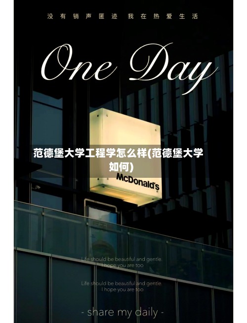范德堡大学工程学怎么样(范德堡大学如何)