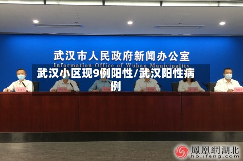 武汉小区现9例阳性/武汉阳性病例