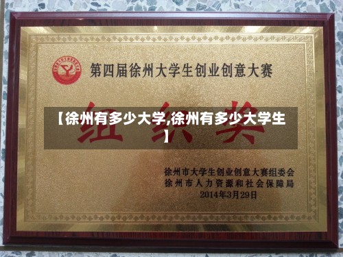 【徐州有多少大学,徐州有多少大学生】