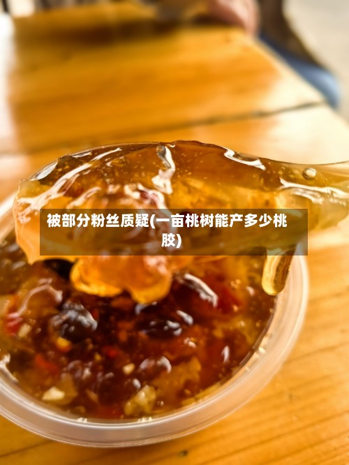 被部分粉丝质疑(一亩桃树能产多少桃胶)-第2张图片