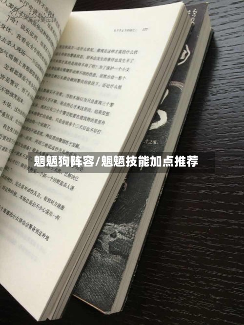 魍魉狗阵容/魍魉技能加点推荐