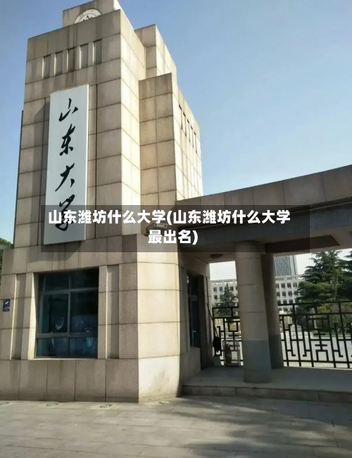 山东潍坊什么大学(山东潍坊什么大学最出名)-第2张图片
