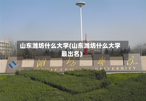山东潍坊什么大学(山东潍坊什么大学最出名)-第3张图片