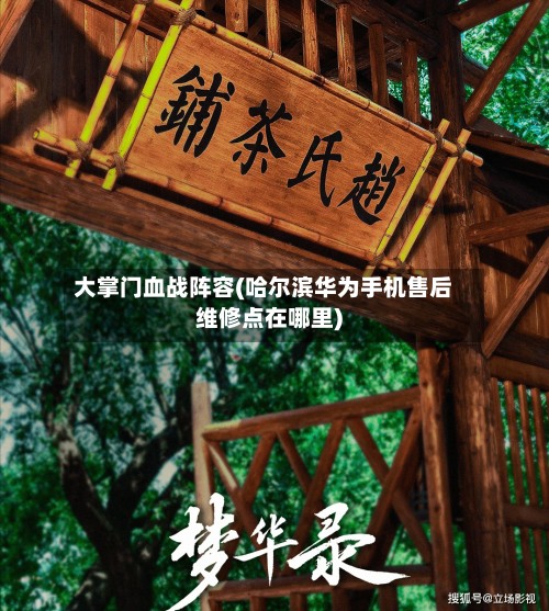 大掌门血战阵容(哈尔滨华为手机售后维修点在哪里)-第2张图片