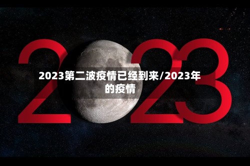 2023第二波疫情已经到来/2023年的疫情