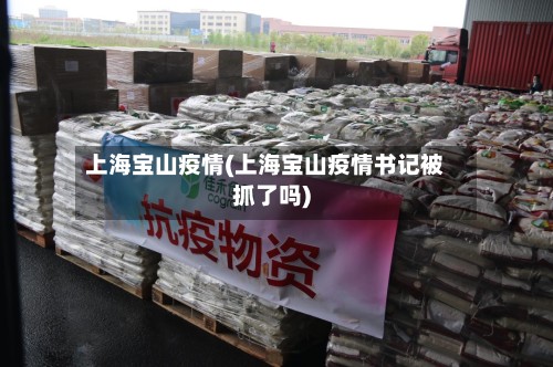 上海宝山疫情(上海宝山疫情书记被抓了吗)