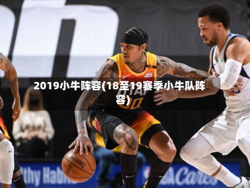 2019小牛阵容(18至19赛季小牛队阵容)