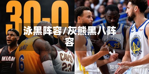 泳黑阵容/灰熊黑八阵容
