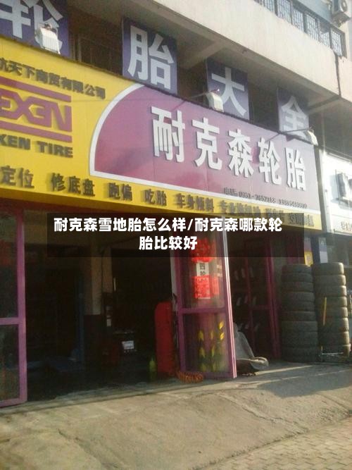 耐克森雪地胎怎么样/耐克森哪款轮胎比较好-第2张图片