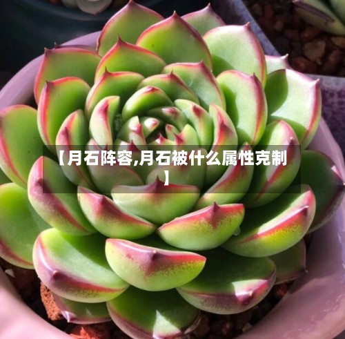 【月石阵容,月石被什么属性克制】
