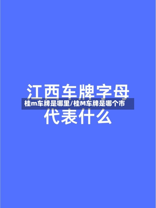 桂m车牌是哪里/桂M车牌是哪个市-第2张图片