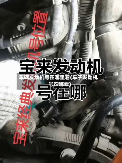 车辆发动机号在哪里看(车子发动机号在哪看)