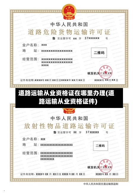 道路运输从业资格证在哪里办理(道路运输从业资格证件)-第3张图片
